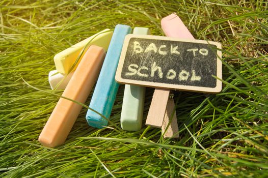 Mini blackboard written Back to school and colorful chalk on a green grass background.