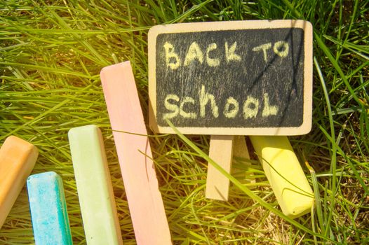 Mini blackboard written Back to school and colorful chalk on a green grass background.