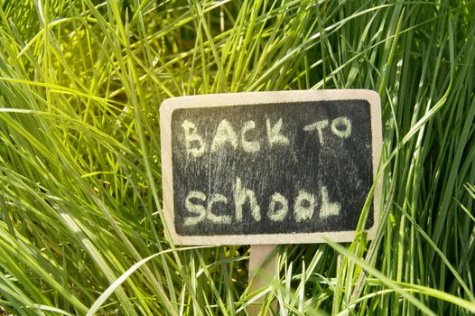 Written back to school, chalked on a blackboard against a green grass background, bright sunlight.