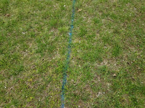 straight blue line painted on green grass or lawn or ground