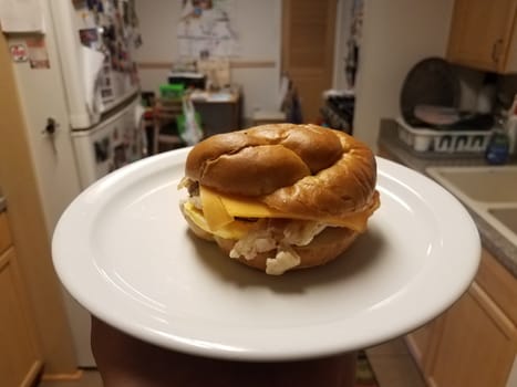 hand holding egg, bacon, and cheese sandwich on white plate in kitchen
