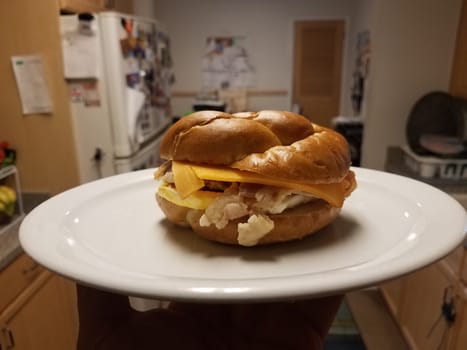 hand holding egg, bacon, and cheese sandwich on white plate in kitchen
