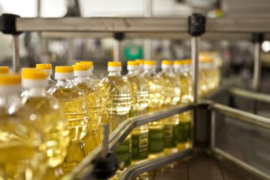 Sunflower oil in the bottle moving on production line. Shallow dof