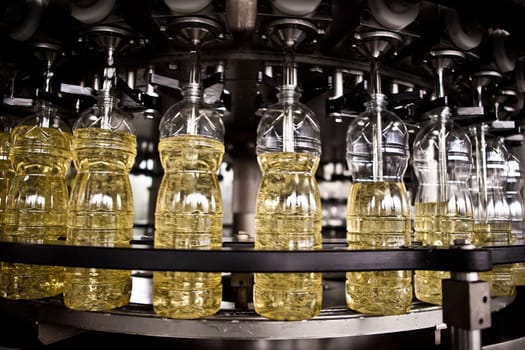 Sunflower oil in the bottle moving on production line. Shallow dof