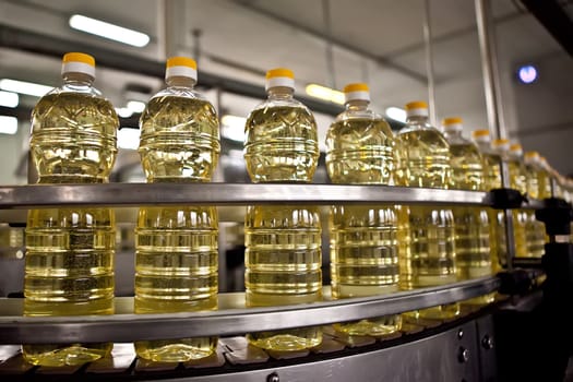 Sunflower oil in the bottle moving on production line. Shallow dof