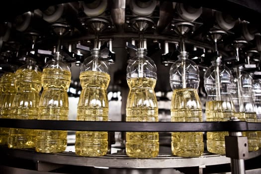 Sunflower oil in the bottle moving on production line. Shallow dof