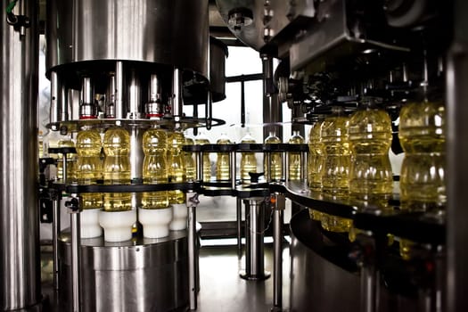 Sunflower oil in the bottle moving on production line. Shallow dof