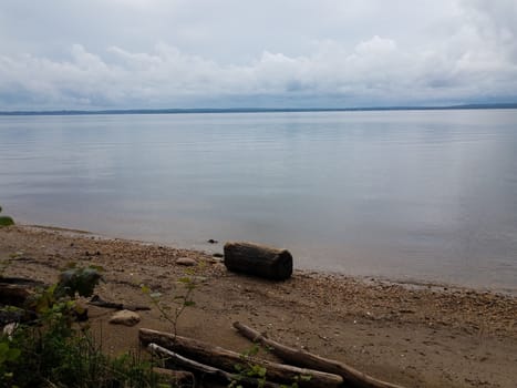 shore of river with calm water, rocks, sand, wood, and shells