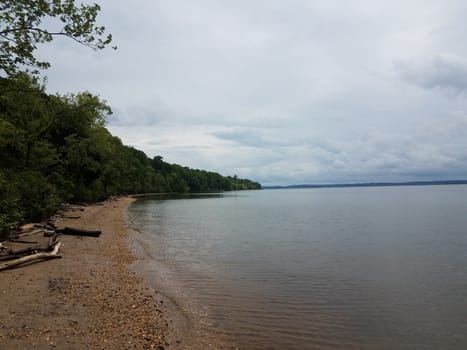 shore of river with calm water, rocks, sand, wood, and shells