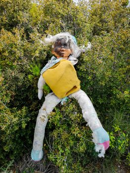 Old doll with face burned in brambles