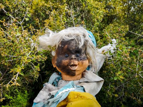 Old doll with face burned in brambles