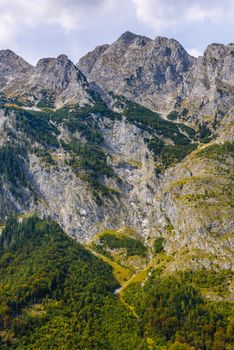 Alps mountains covered with forest in Berchtesgaden National Park, Bavaria, Germany