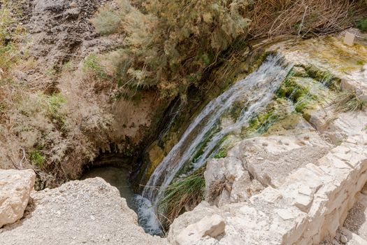 The Waterfall in national park Ein Gedi at the Dead Sea in israel