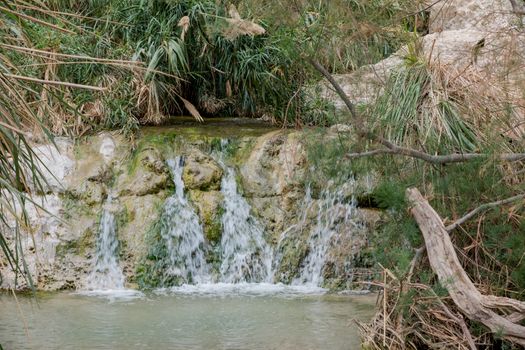 The Waterfall in national park Ein Gedi at the Dead Sea in israel