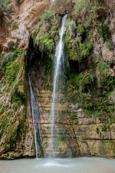 The Waterfall in national park Ein Gedi at the Dead Sea in israel