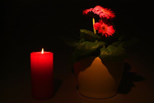 Candles flame close up on a black background