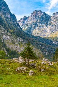 Boulder stones in Koenigssee, Konigsee, Berchtesgaden National Park, Bavaria Germany
