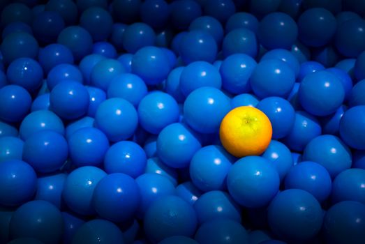 A Fruit Orange in a Sea of Blue Bouncy Plastic Balls