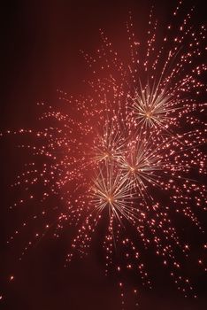 Nice and colorful fireworks in black night