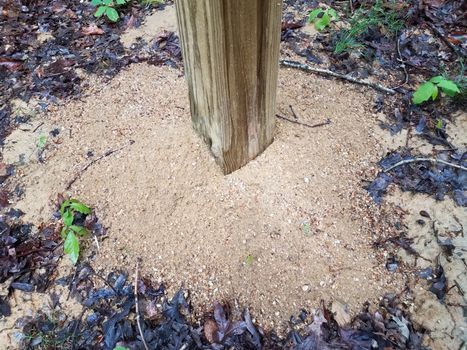 wood pole or stake and wet soil or sand on ground