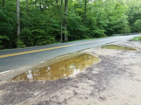 asphalt road and side of road with large water puddles and trees