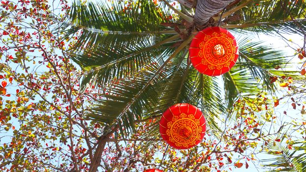 Red lanterns on Chinese New Year Event at Hawaii with Coconut palm trees