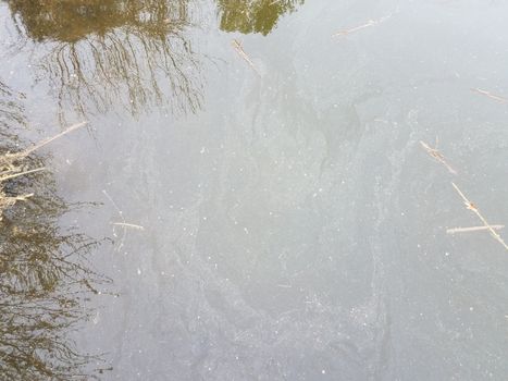 dirty or murky stagnant water with reflection of grasses and plants