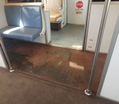 disgusting gross dirty or filthy carpet or rug in public transportation train