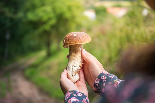 Girl found beautiful mushroom in the woods - boletus.