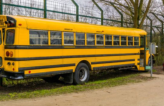 yellow old vintage school bus, Retro vehicles, Transportation for the kids to school