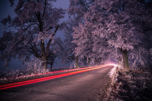 Light trails at night in winter, frozen road in forrest.