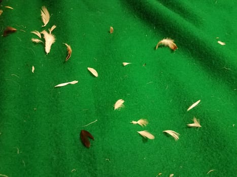 green fabric or textile with small white feathers