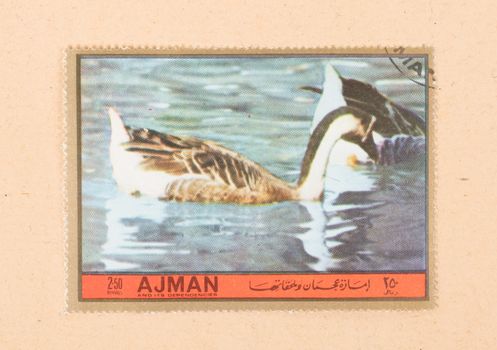 UNITED ARAB EMIRATES - CIRCA 1972: A stamp printed in the United Arab Emirates shows a bird (goose), circa 1972