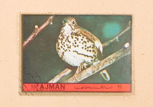 UNITED ARAB EMIRATES - CIRCA 1972: A stamp printed in the United Arab Emirates shows a bird (songbird), circa 1972