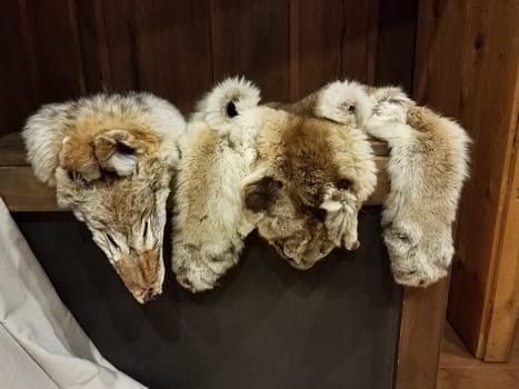 various grey and brown animal furs or hides or pelts on table