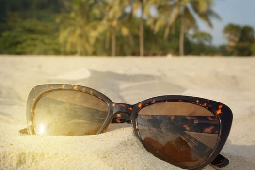 The concept of beach holidays and travel. Brown sunglasses on the sand on the beach, sunlight, place for text.