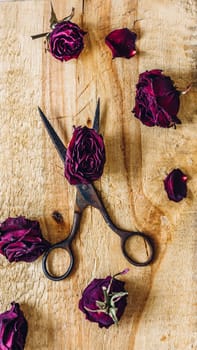 Rusty Scissors with Dry Rosebuds and Few Petals on Wooden Surface. Vertical Orientation.