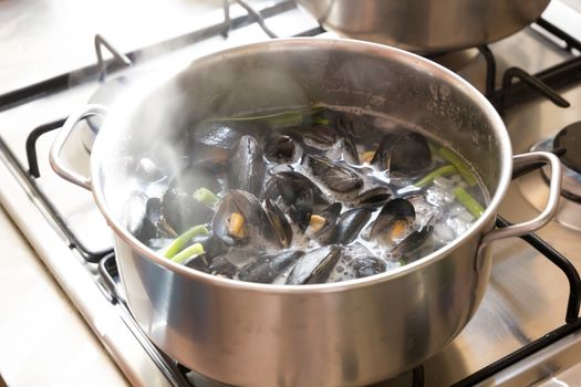 Boiling sea mussels in wine in a pot