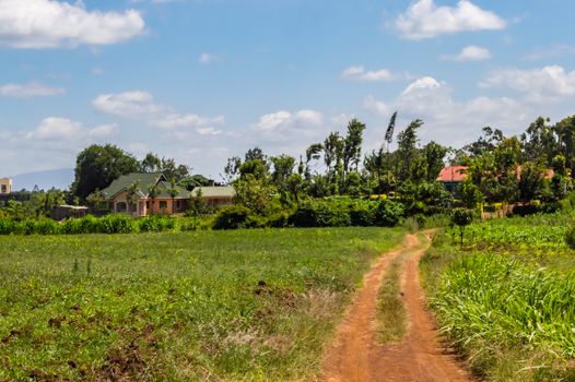 Houses at the end of a dirt road in the bush near the city of Thika in central Kenya