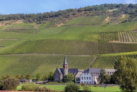 The banks of the Moselel river with vineyard and small town,Germany