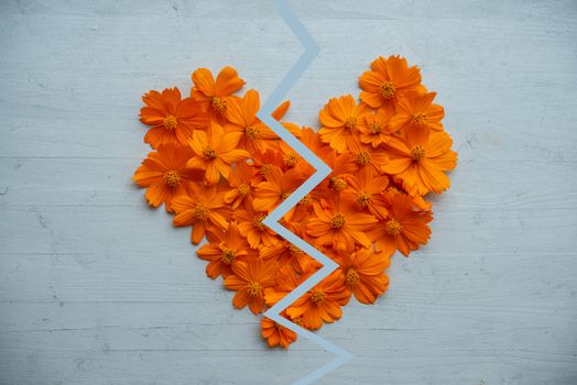 Broken heart made of orange cosmos flowers on blue wooden background.