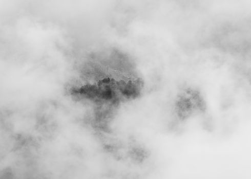 Trees on hilltop through clouds, black and white photography