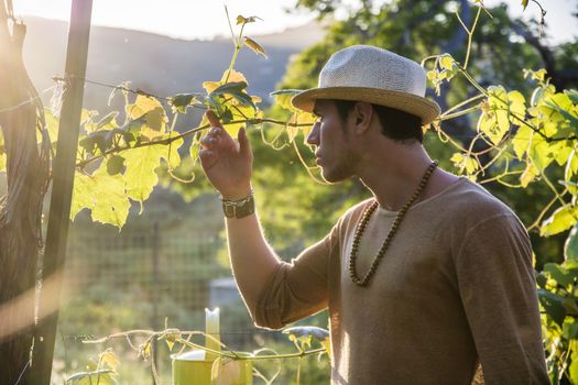 Side view of handsome young man in hat toching vine leaves in garden in sunlight