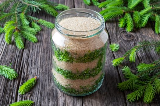 A jar filled with young spruce tips and cane sugar, to prepare homemade syrup against cough