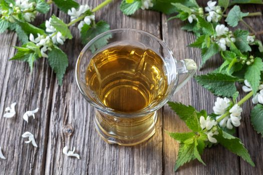 A cup of white dead-nettle tea with fresh blooming  plant on a rustic background
