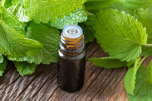 A bottle of essential oil with fresh melissa twigs