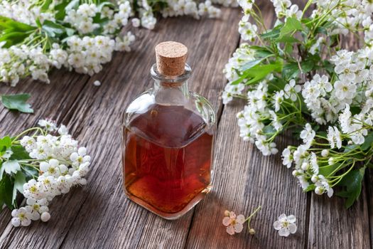 A bottle of herbal tincture with blooming hawthorn branches