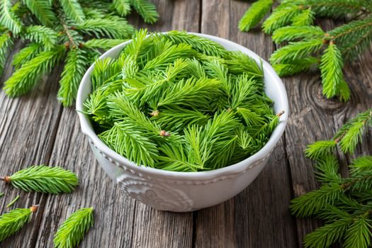 Spruce tips collected in a vintage bowl to prepare homemade herbal syrup
