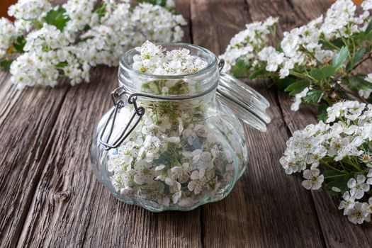 Preparation of herbal tincture from fresh hawthorn flowers