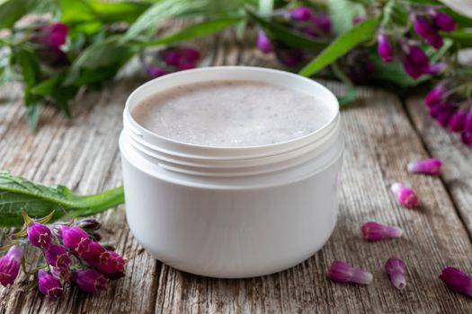 A jar of comfrey root ointment with fresh blooming symphytum officinale plant